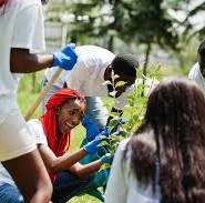 Lancement du site web de l'ISP-GEMENA